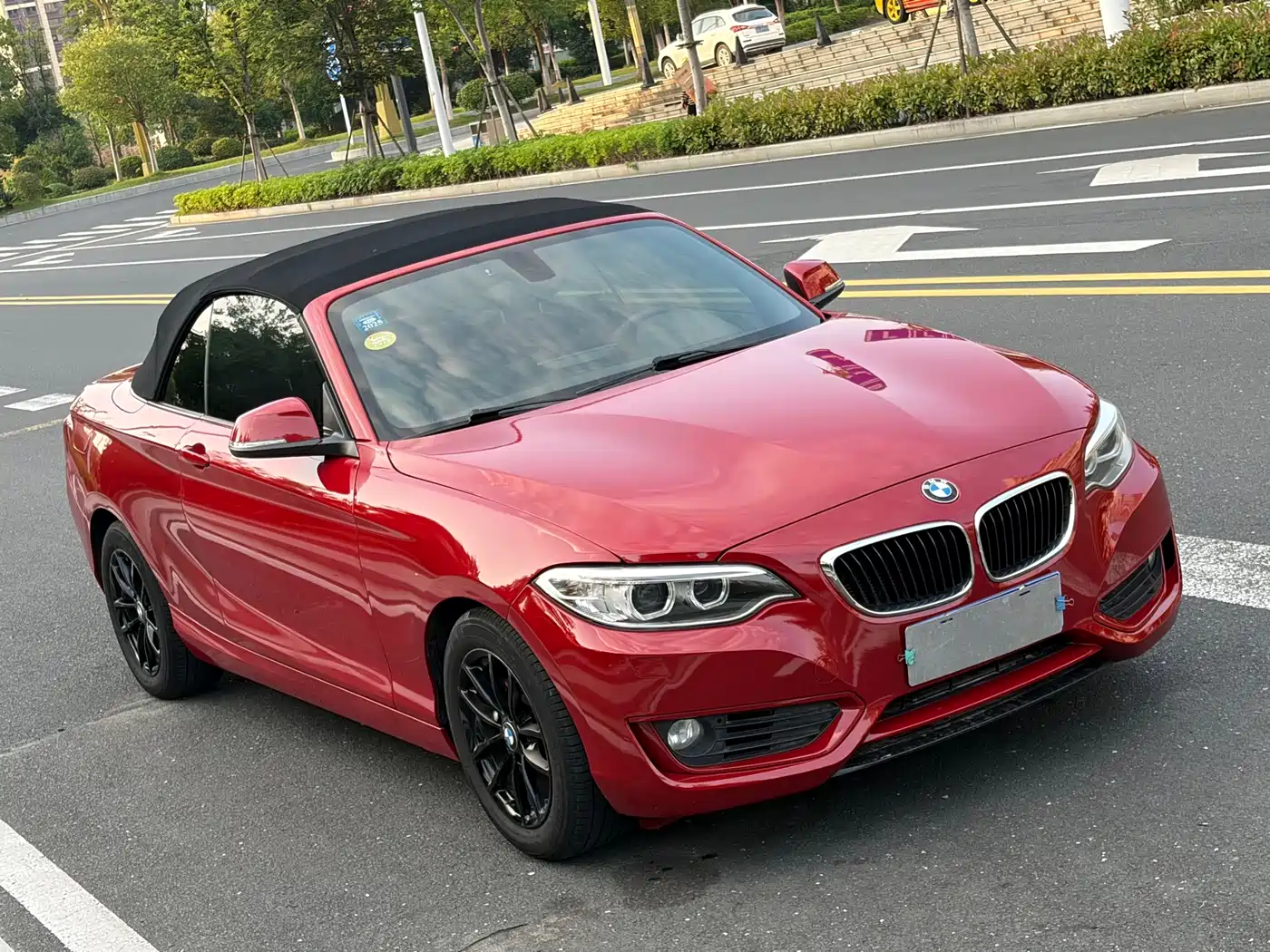 BMW 2 Series (Import) 2015 218i Convertible Coupe фото 4