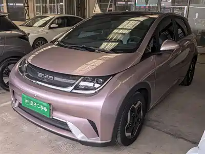 BYD Dolphin