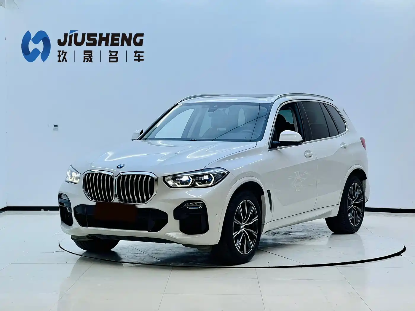 BMW X5 (Import) 2019 xDrive40i M Sport Package