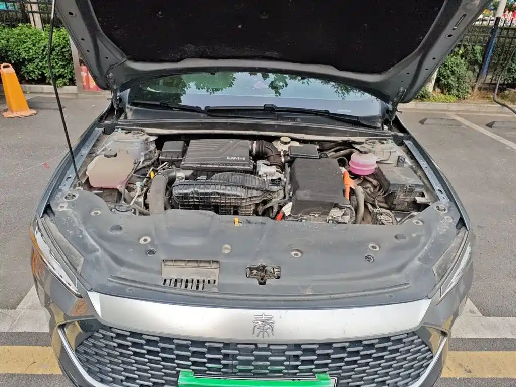 BYD Qin PLUS 2024 Glory Edition DM-i 55KM Leading фото 16