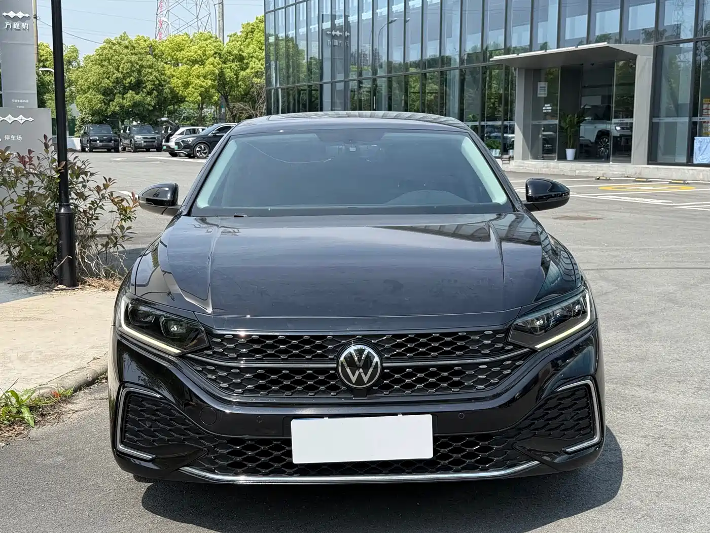 Volkswagen Passat 2022 330TSI Starlight Luxury Edition фото 12