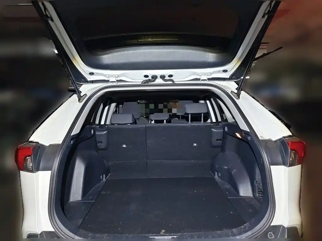 Toyota RAV4 Rongfang 2020 2.0L CVT AWD Trend Edition фото 15