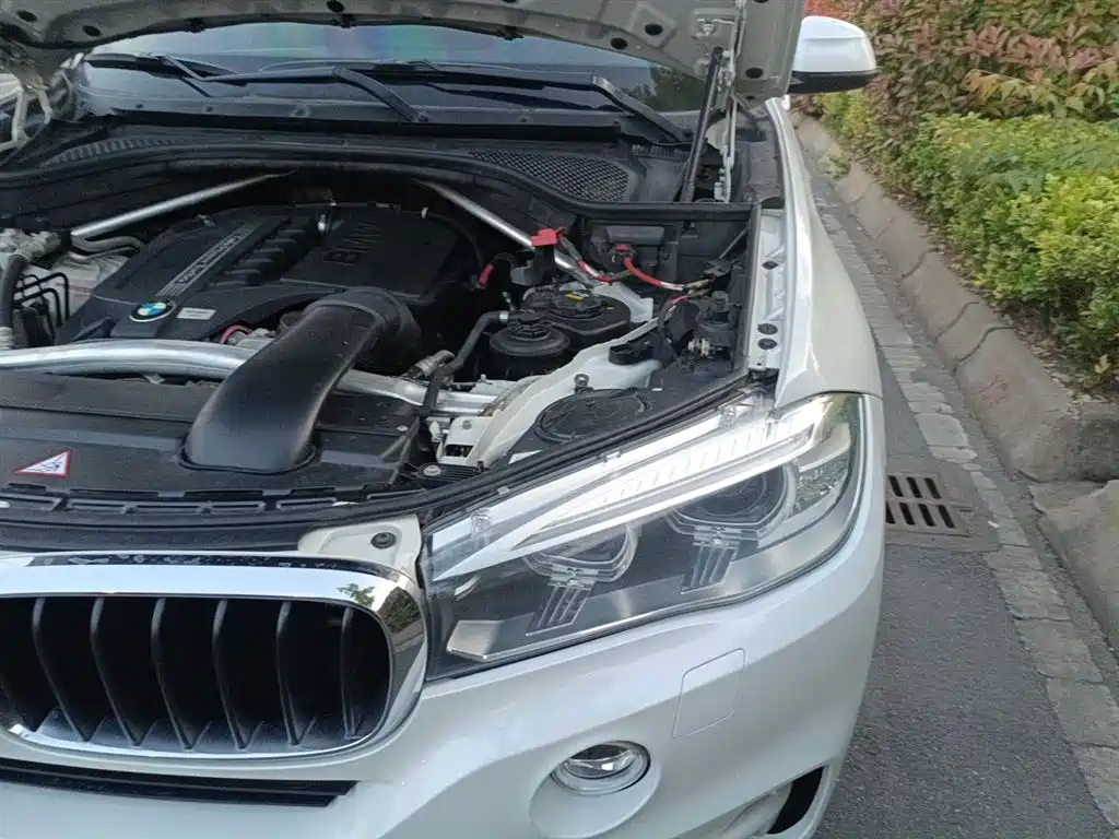 BMW X5 (Import) 2014 xDrive35i Leading фото 23