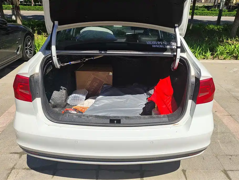 Volkswagen Bora 2019 Bora Legend 1.5L Automatic Fashion China V фото 4
