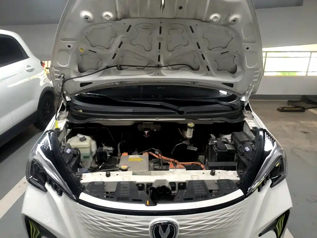 Changan Benben E-Star 2021 2020 Heartbeat Edition (NMC Battery)
