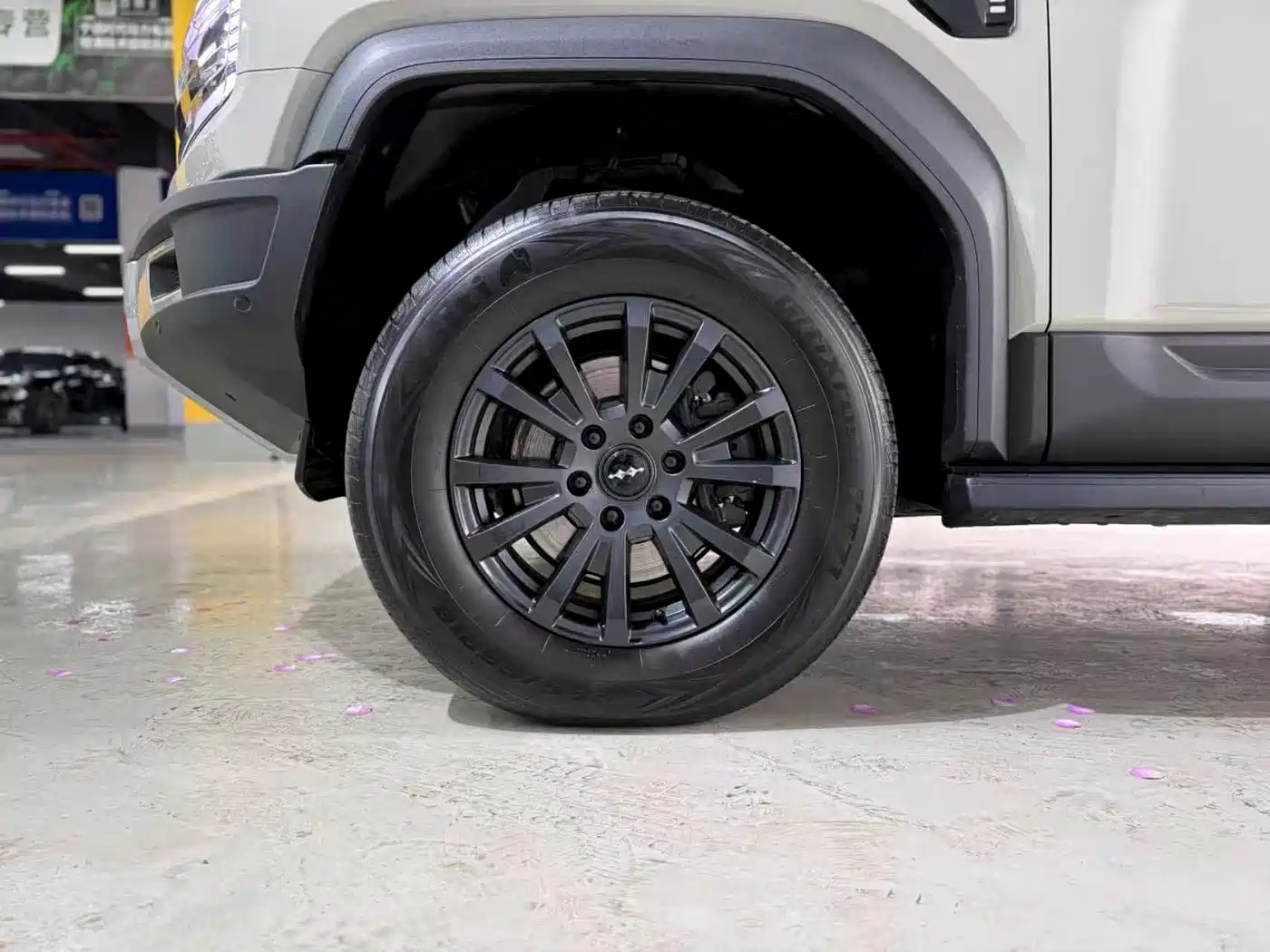 FANG CHENG BAO LEOPARD 5