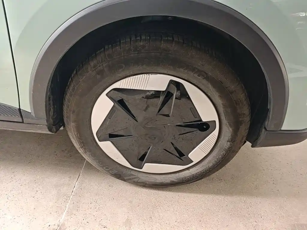 Geely Geometry E Firefly 2024 2024 Model 301km Starlight