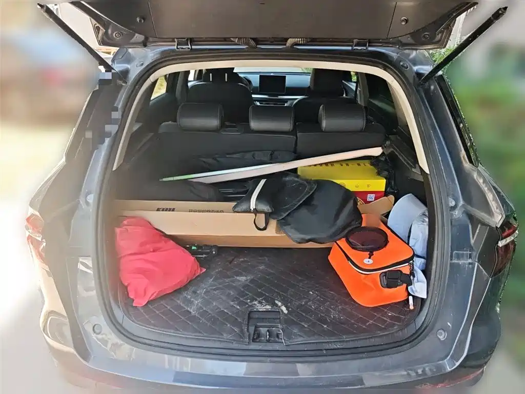 BYD Song Pro 2019 1.5T Automatic Elite фото 15