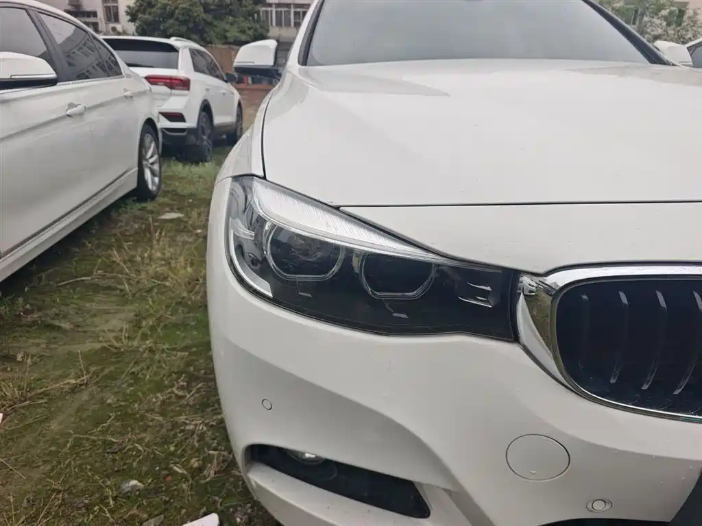BMW 3 Series GT 2018 330i xDrive M Sport фото 27