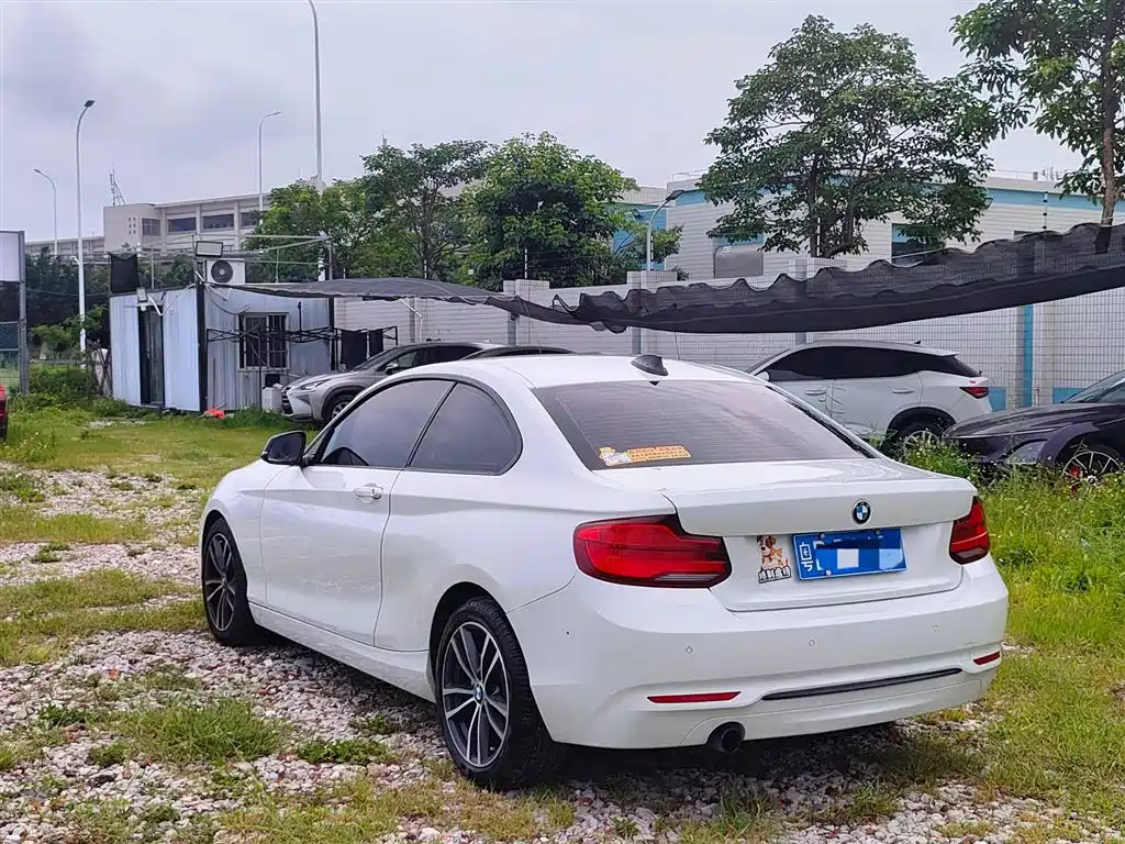 BMW 2 Series (Import) 2018 220i Sport Design Package фото 9