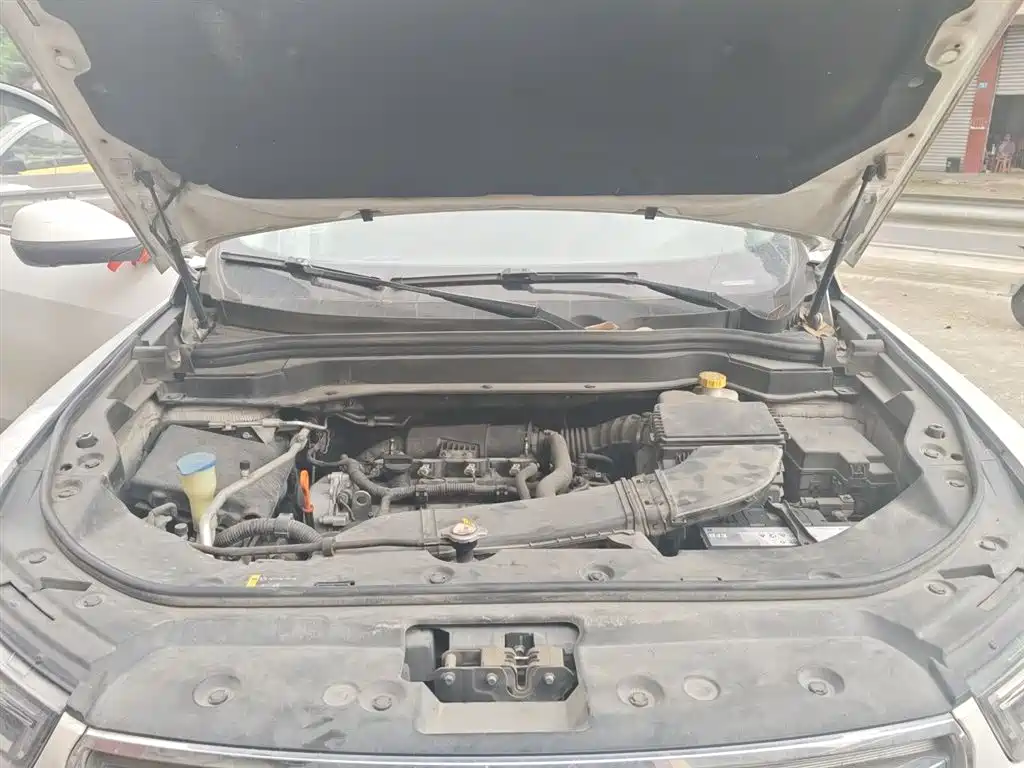 Haval H6 2017 Red Label 2.0T Auto 2WD Smart фото 16