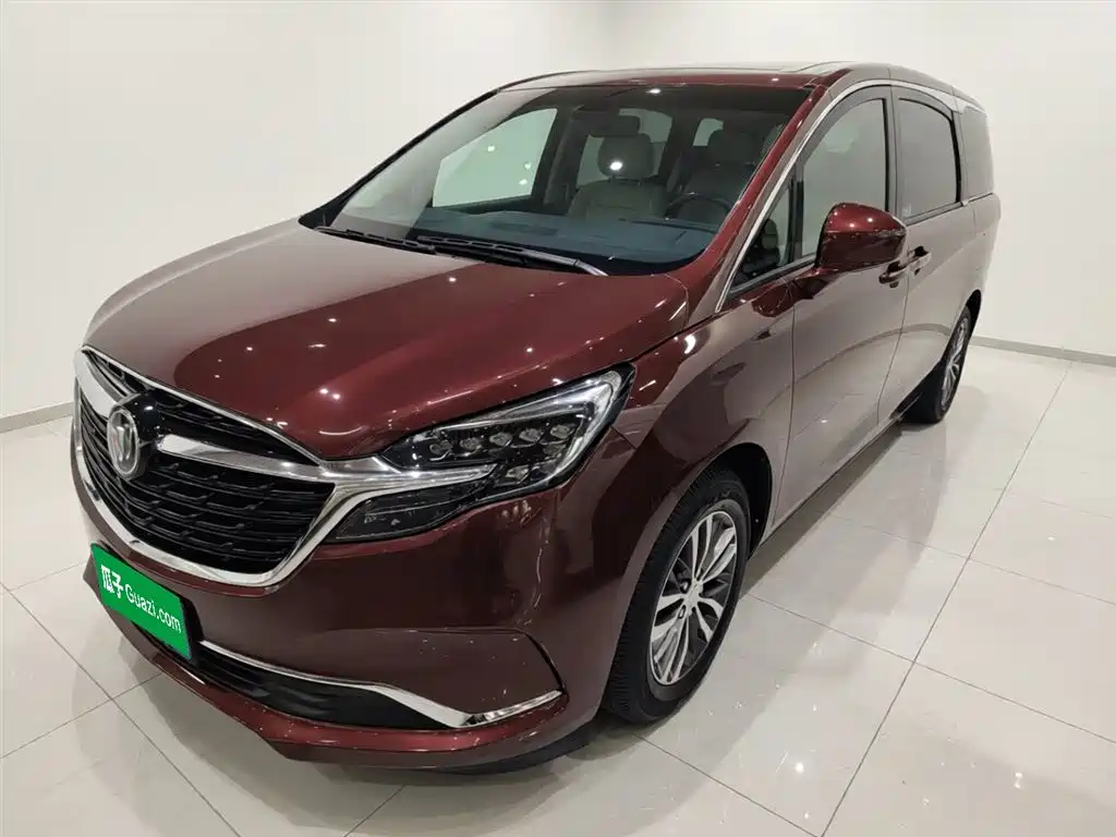 Buick GL8 2022 ES Landmark 653T Premium