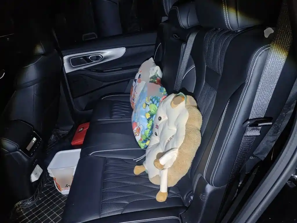GAC Trumpchi Trumpchi GS8 2024 Navigator Series 2.0TGDI 2WD Luxury Smart Connect Edition фото 13