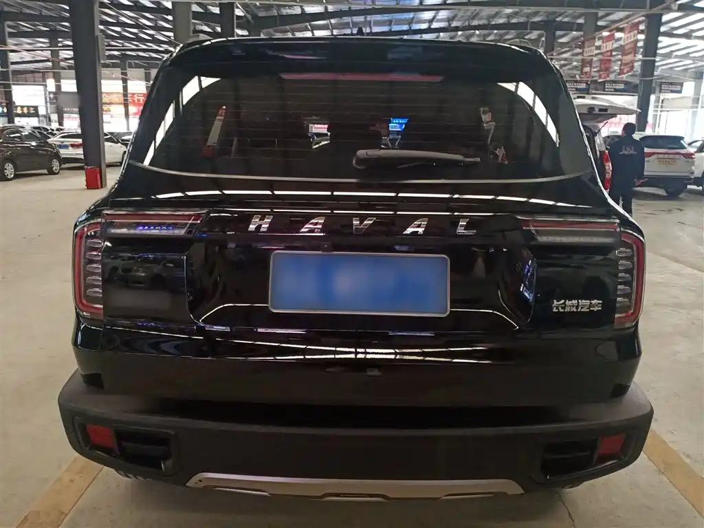 Haval Big Dog 2022 1.5T DCT FWD Border Collie Edition фото 6