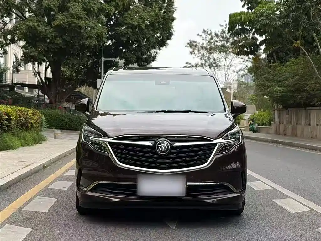 Buick GL8 2021 ES Landlord 653T Premium фото 11