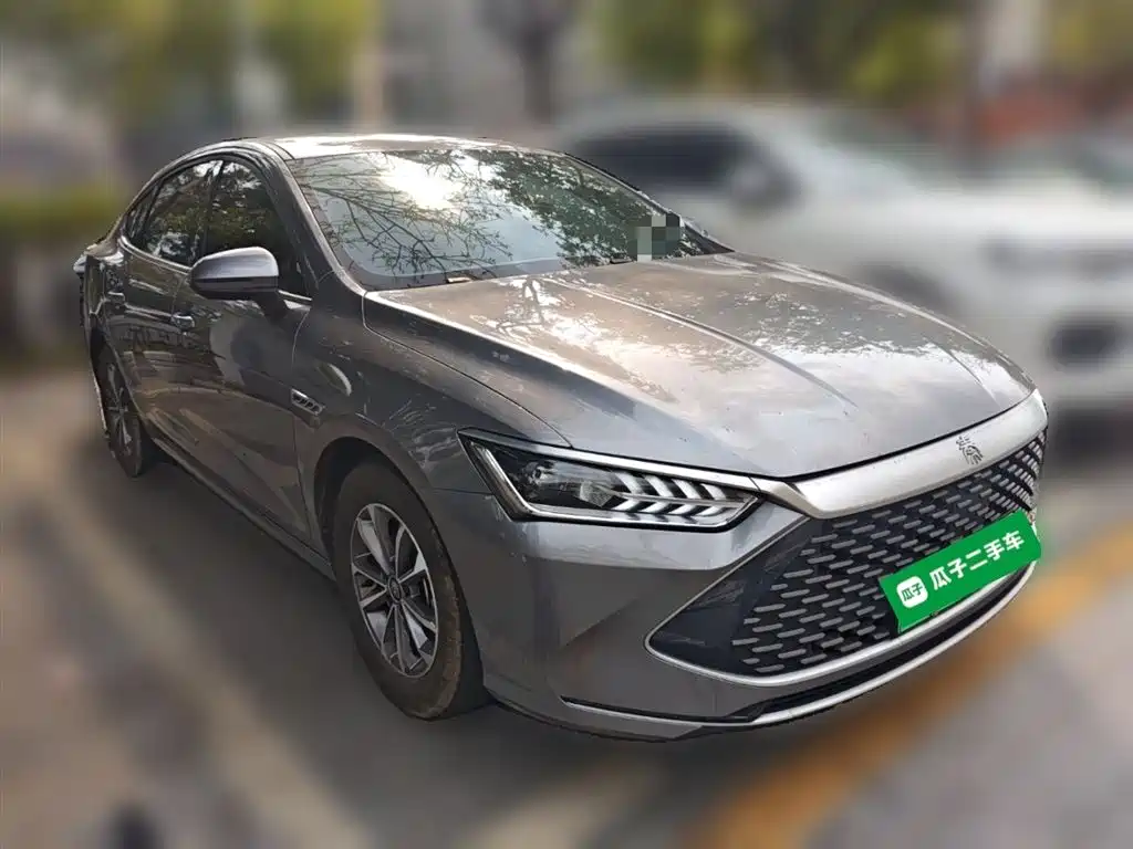 BYD Qin PLUS 2024 Glory Edition DM-i 55KM Leading фото 3