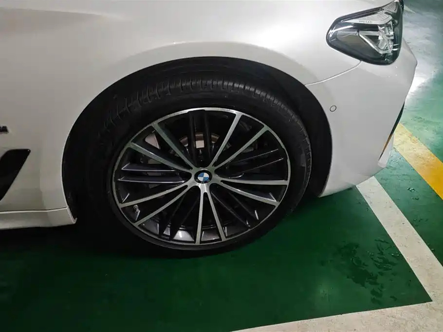 BMW 5 Series 2023 530Li Leading M Sport Package фото 6