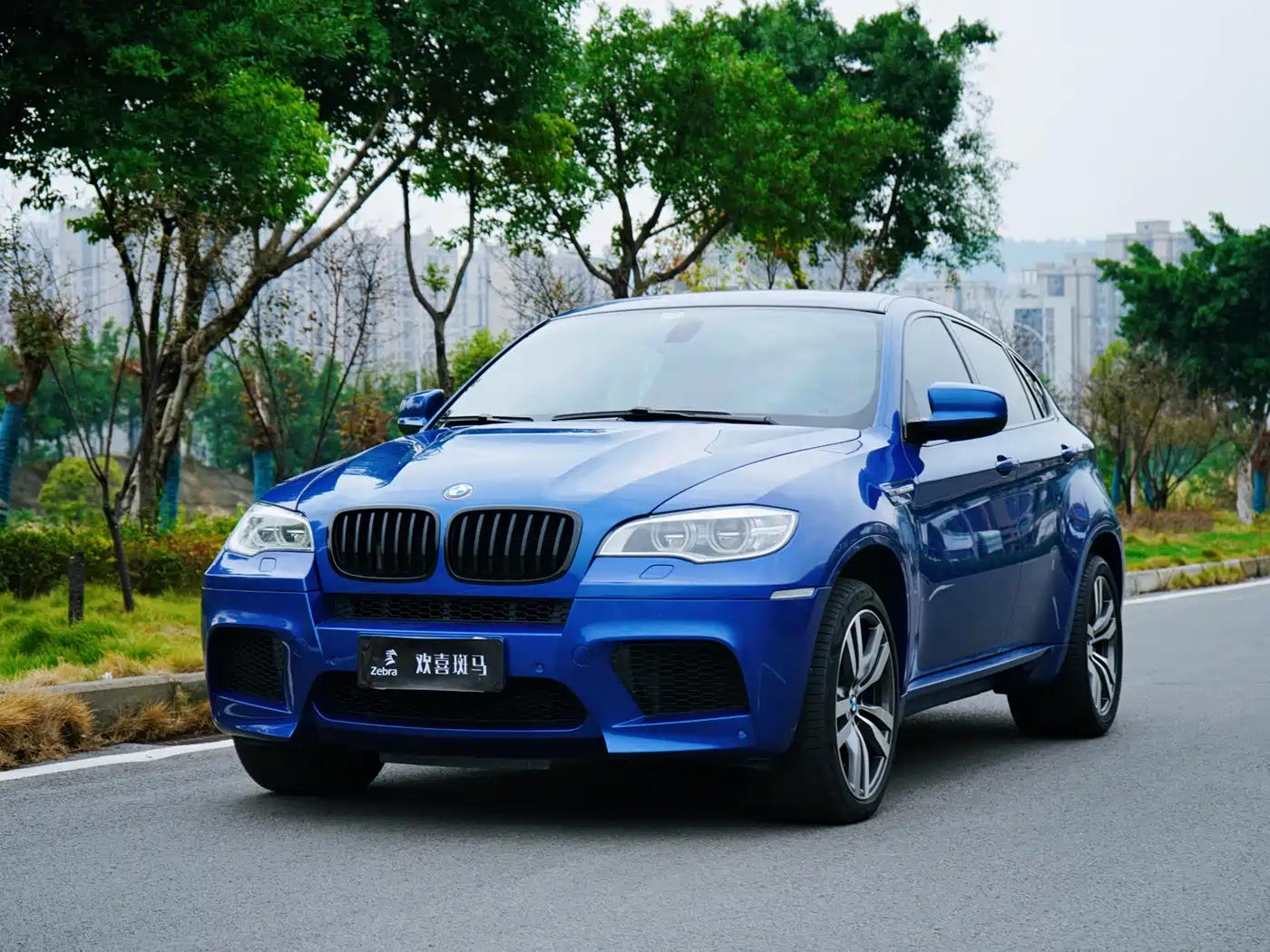BMW X6 M 2010 X6 M