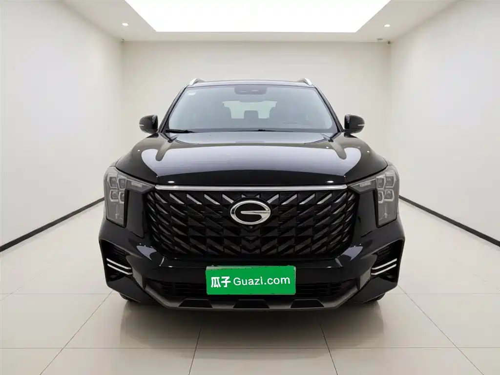 GAC Trumpchi Trumpchi GS8 2024 Navigator Series 2.0TGDI 2WD Luxury Smart Connect Edition фото 2