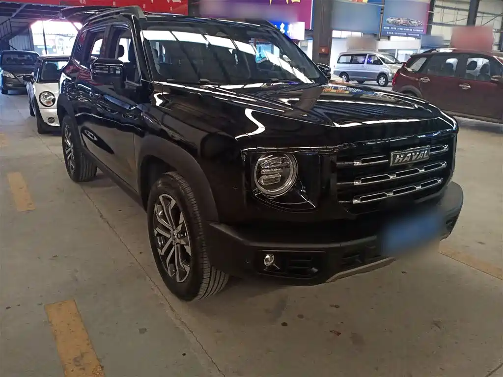 Haval Big Dog 2022 1.5T DCT FWD Border Collie Edition фото 4