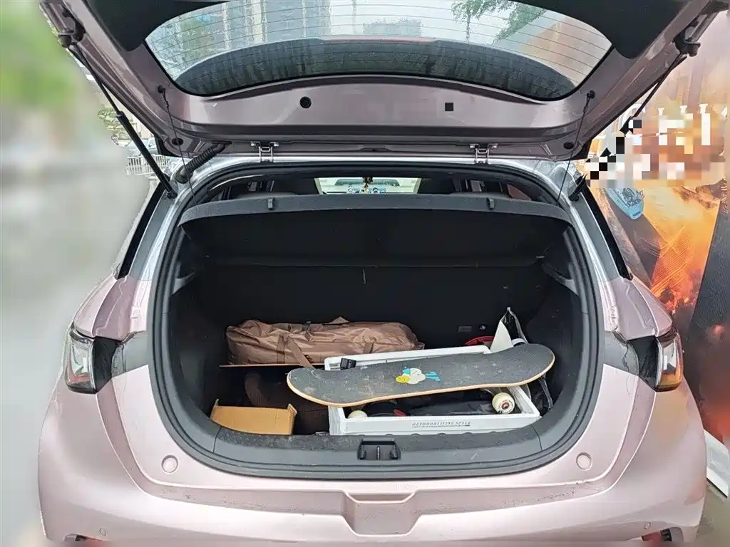 BYD Dolphin 2021 Model 405km Fashion Edition фото 15