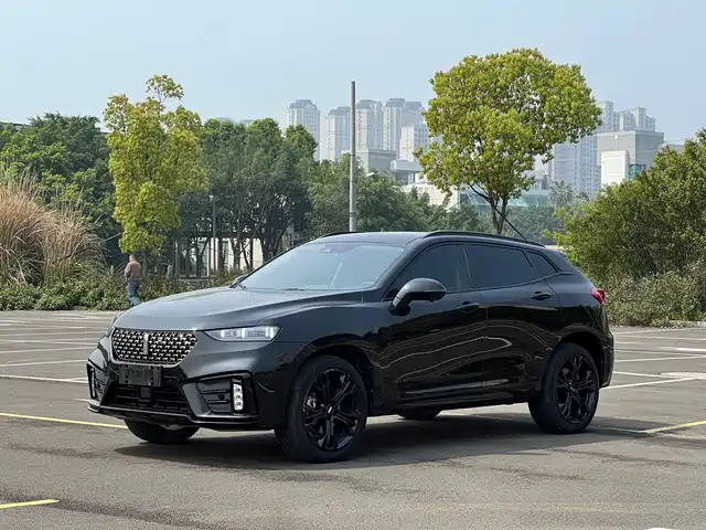 WEI PAI WEI BRAND VV7