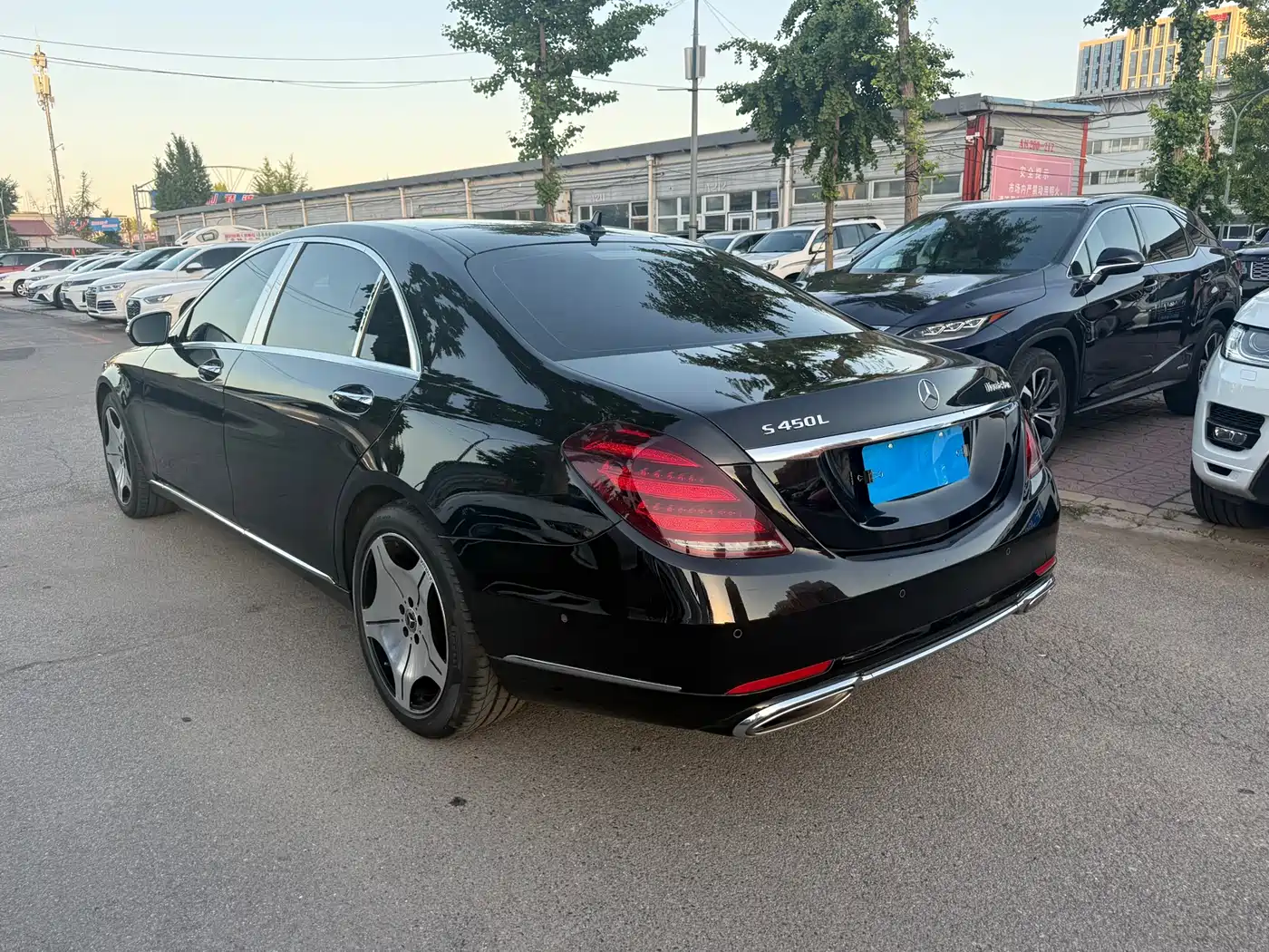 Mercedes-Benz S-Class 2020 S 350 L Business Edition Collector's Version фото 11