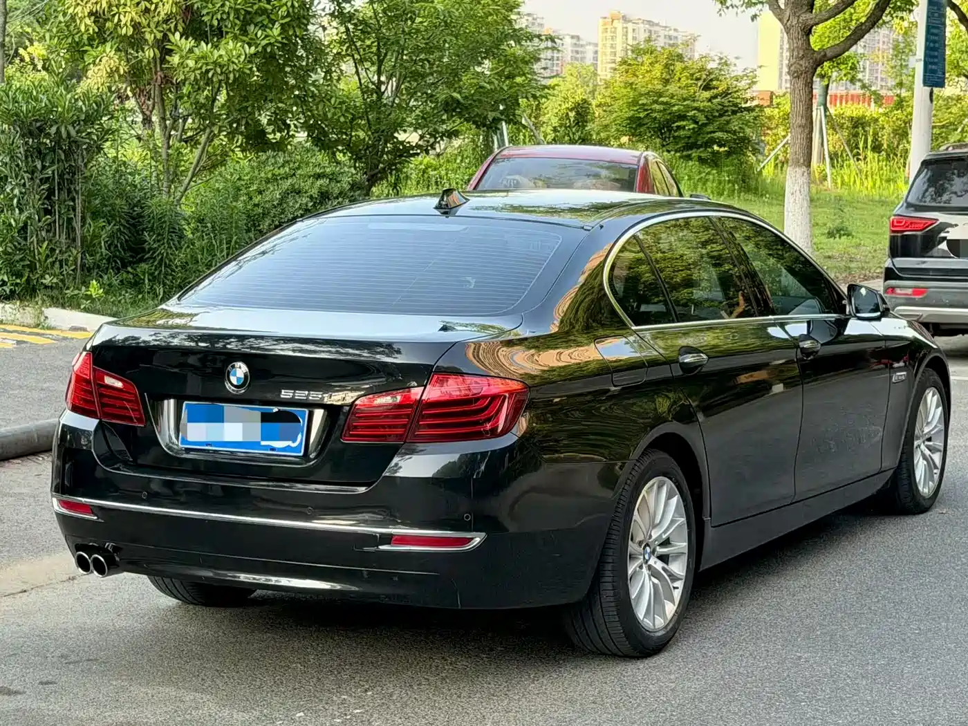 BMW 5 Series 2014 525Li Luxury Design Package фото 9