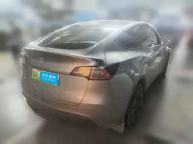 Tesla Model Y 2024 Long Range AWD — фото 2