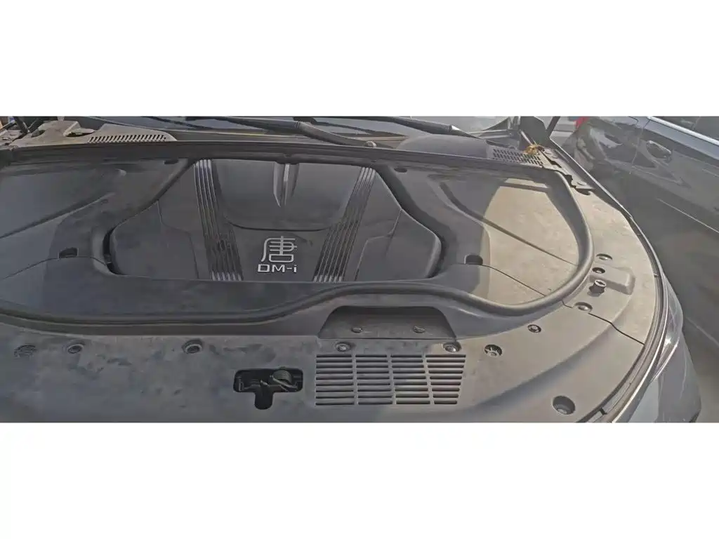 BYD Tang New Energy 2025 2025 DM-i 115KM Prestige Type