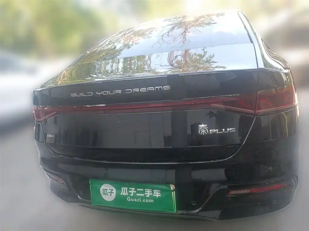 BYD Qin PLUS 2024 Glory Edition DM-i 55KM Leading фото 3