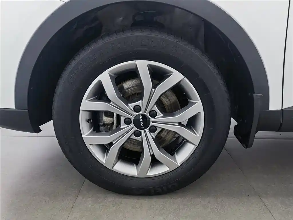 Haval H6 2021 Model National Trend Edition 1.5T Auto Champion фото 17