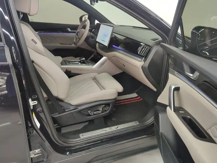 BYD Tang New Energy 2025 2025 DM-i 115KM Flagship