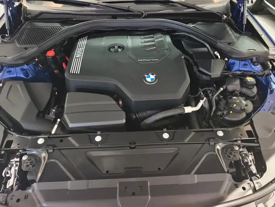 BMW 3 Series 2020 325Li M Sport Package фото 10