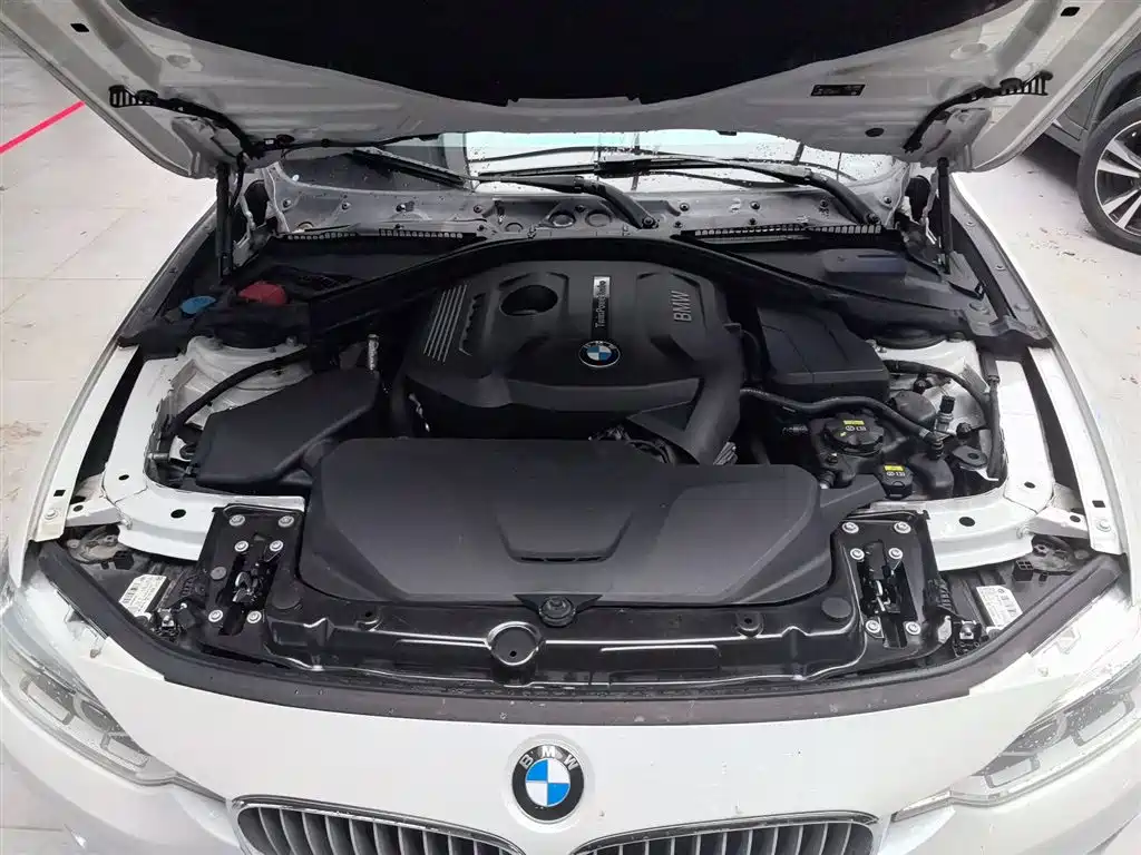 BMW 3 Series 2019 320Li Fashion Type фото 16