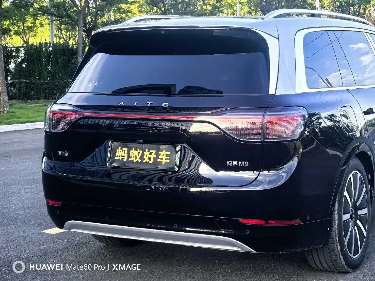 AITO Wenjie AITO M9 2024 Range Extender Max Edition 42kWh 6-seater фото 10