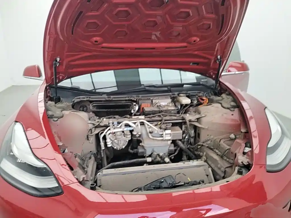 Tesla Model 3 2020 2020 Standard Range Rear-Wheel Drive Upgrade