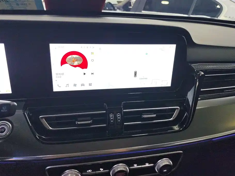 Hongqi HS5 2023 2.0T Flag Enjoy Pro Edition фото 13