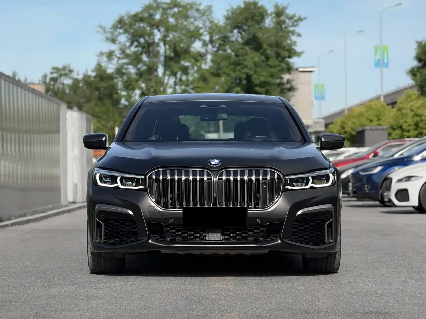 BMW 7 Series 2017 750Li xDrive Customized Edition (4-Seater) фото 2