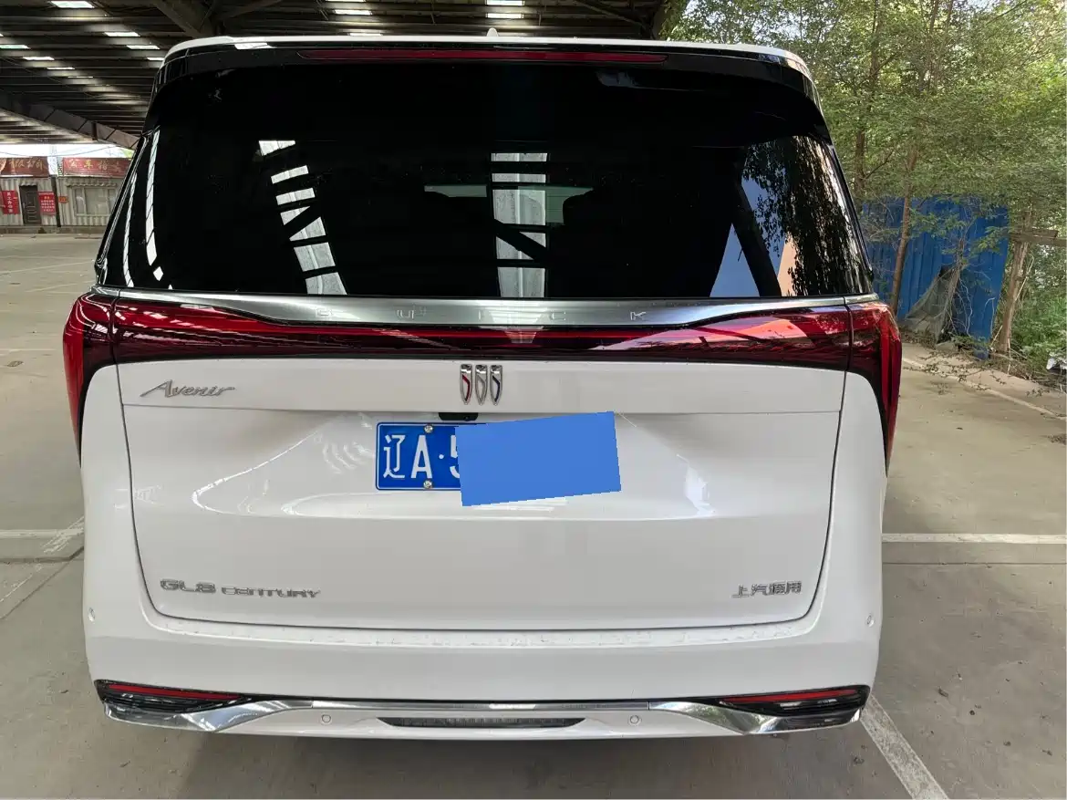 Buick Century 2023 2.0T 7-Seater World Edition фото 8