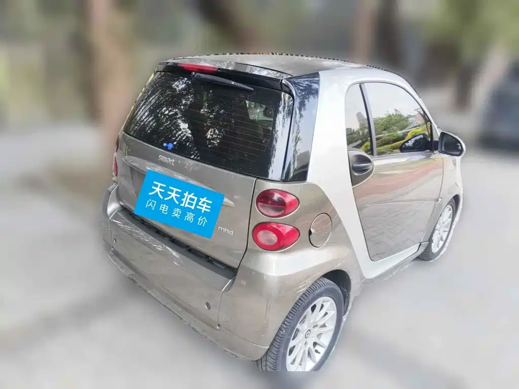 smart fortwo 2012 2011 1.0 MHD Year of the Rabbit Special Edition