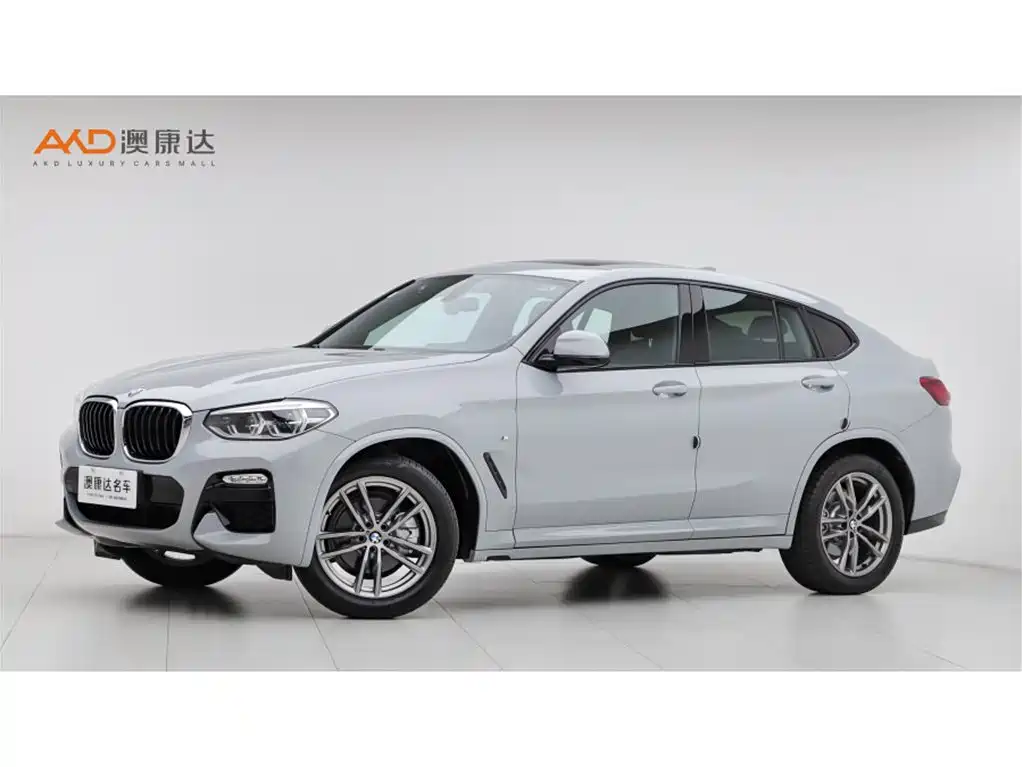 BMW X4 2019 xDrive25i M Sport Package