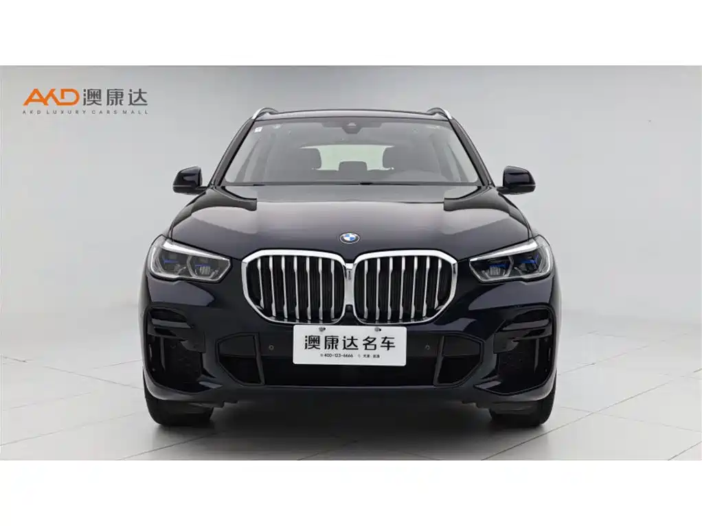 BMW X5 (Import) 2022 xDrive40i M Sport Package фото 2