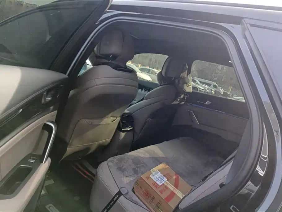 BYD Tang New Energy 2025 DM-i 115KM Flagship фото 11