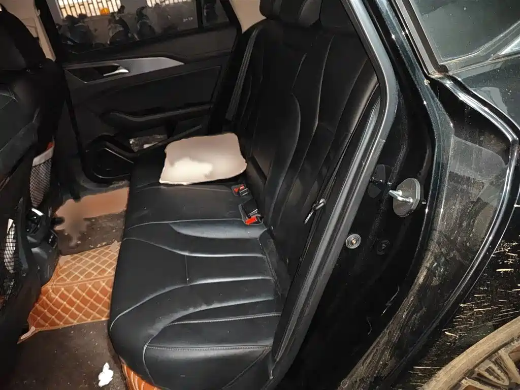 Hongqi H5 2022 Classic 1.5T DCT Flag Rhythm Edition фото 15