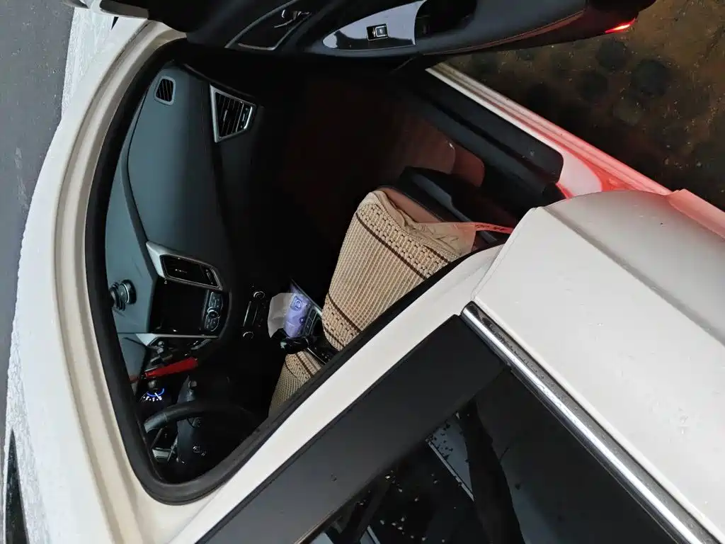 Photo 20 - Changan Eado