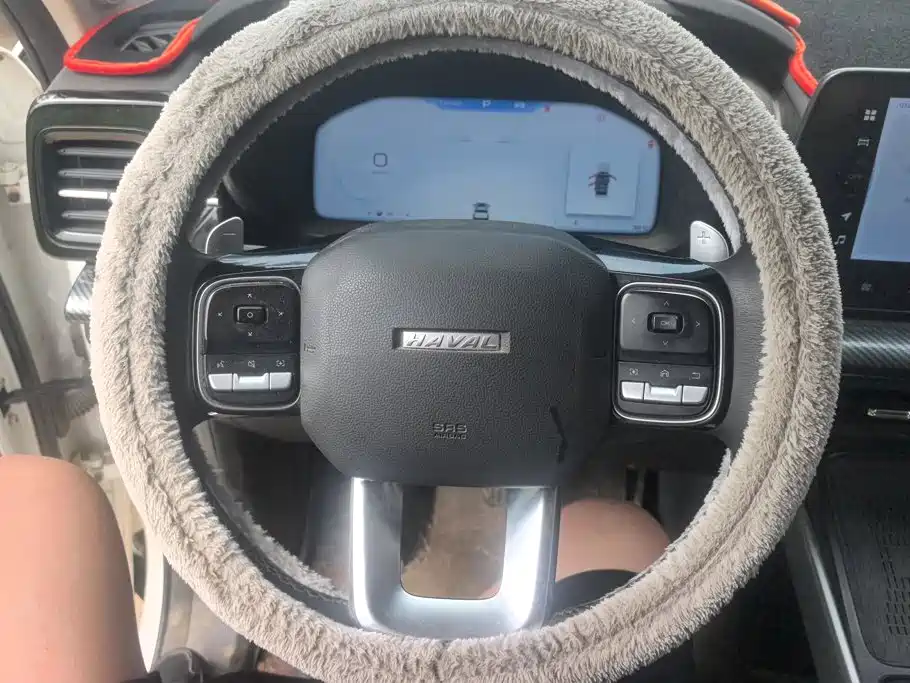 Haval Cool Dog 2023 2022 1.5T DCT 2WD Trend Edition