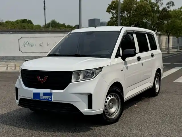 WULING WULING HONGGUANG PLUS
