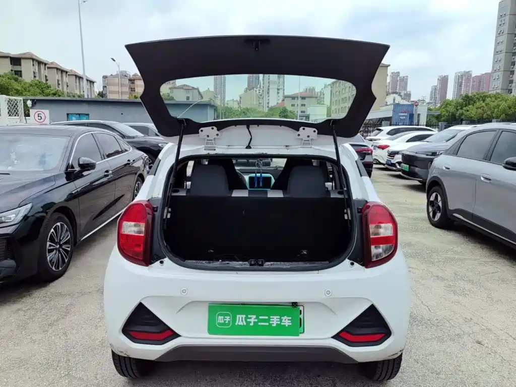 JMCG New Energy Little Kirin 2025 2024 201km Comfort Model