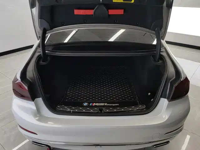 BMW 5 Series 2020 525Li Luxury Package — фото 4